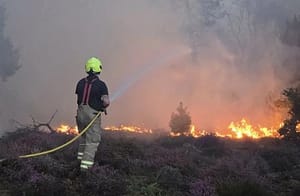 Dunwich Heath X