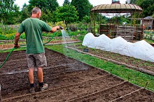 Arche de la Nature gardener watering seedlings in the vegetable garden  Sarthe