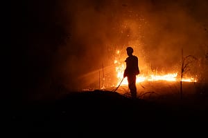 Bush fire