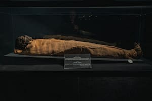 Luxor Museum
