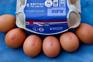 Free-range eggs will be unavailable in Britain from Monday