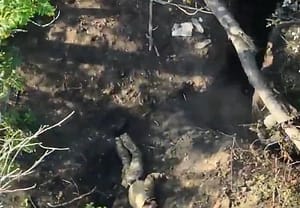 More than 250,000 Russian soldiers confirmed as rotting fertiliser in Ukraine Dead Russian