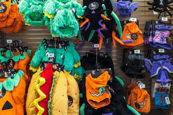 Homeowners could risk being fined this Halloween over decorations - London Business News | Londonlovesbusiness.com