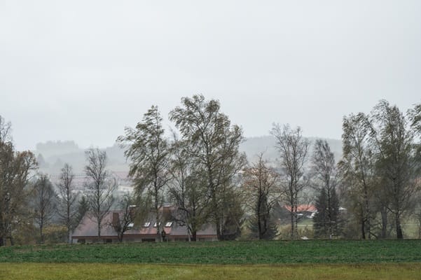 Yellow weather warnings for fog, 'heavy rain' and wind - London Business News | Londonlovesbusiness.com