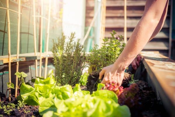 Brilliant hobbies to calm your busy mind after work - London Business News | Londonlovesbusiness.com