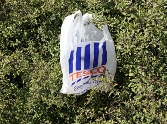 Tesco - bag tangled in hedge