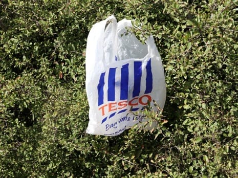 Tesco - bag tangled in hedge