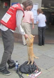 Bob James at angel tube station