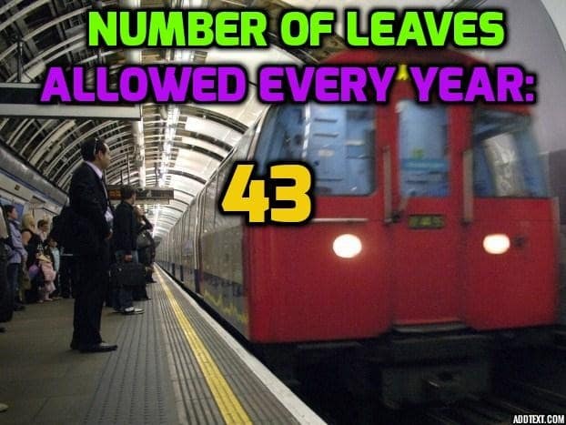 Number of leaves allowed every year: 43