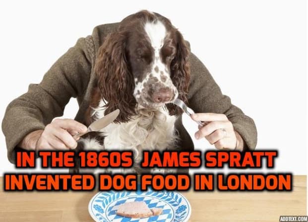 In the 1860s James Spratt invented dog food in London 