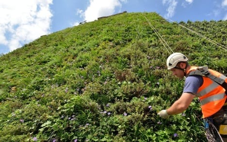 The Living Wall in Victoria, London