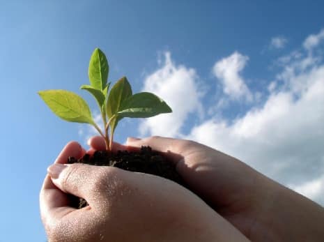Growth