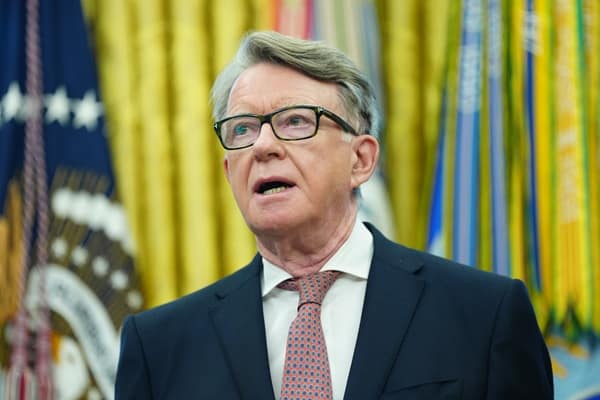 Calls to ‘strip Peter Mandelson of his peerage’ – London Business News | London Wallet
