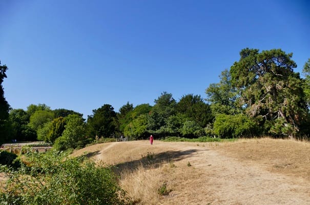 UK’s summer heat crisis deepens as new 30C blast triggers health warnings - London Business News | Londonlovesbusiness. com