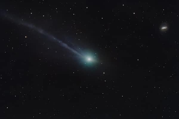 Elon Musk warns 3I/Atlas 'could be alien' and 'kill most of human life' - London Business News | Londonlovesbusiness.com