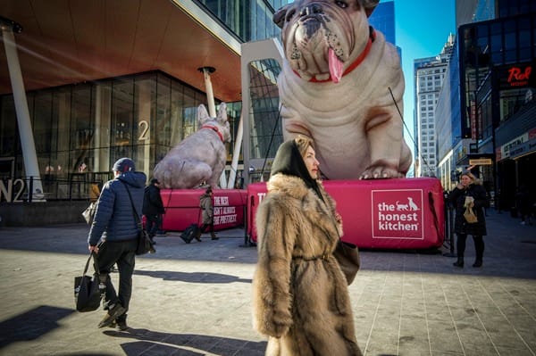 Inflate your brand: The power of eye-catching inflatable advertising