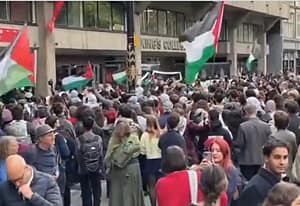 Pro-Palestine protests X