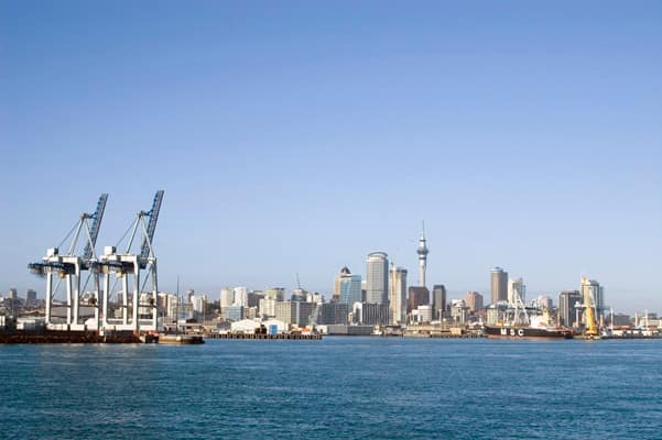 How UK–NZ digital trade is fuelling new growth opportunities