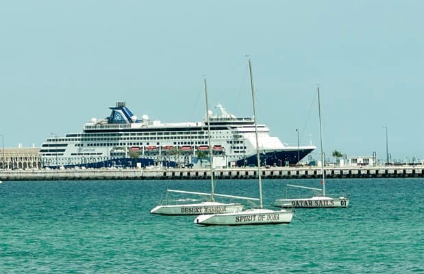 Europe on alert after rare Hantavirus infections linked to cruise ship - London Business News | Londonlovesbusiness.com