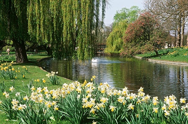 There Will Be a Short Period of Sunshine Before Rain - London Business News | Londonlovesbusiness.com