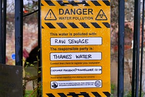 Daily life, pollution levels in The River Thames