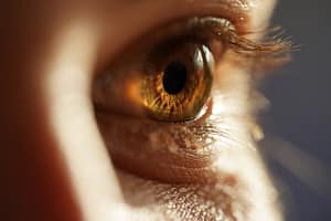 An honest review of Acuitas 3 2025 Close up as an eye