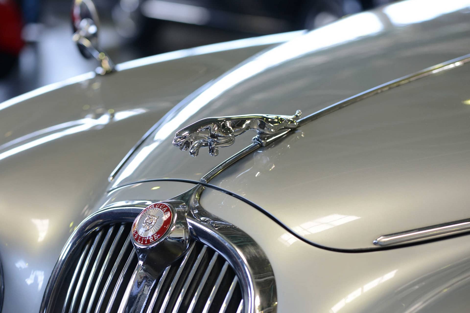 Jaguar Announces 3-Day Workweek for Staff, Embraces Bold Change