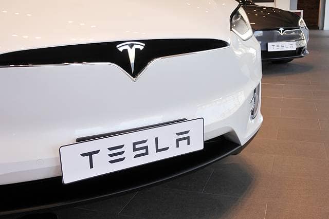 Tesla’s Dog Mode Sparks Safety Worries