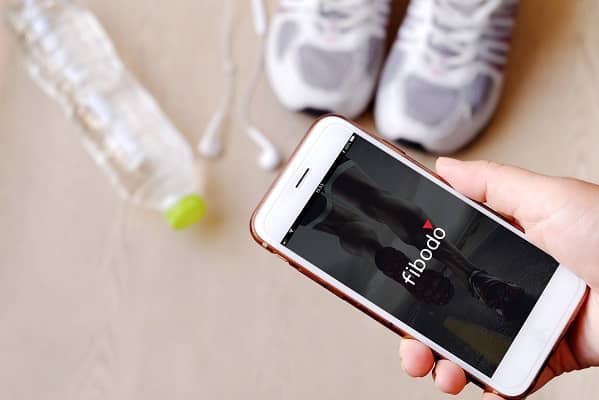Fibodo Achieves 363% Revenue Surge