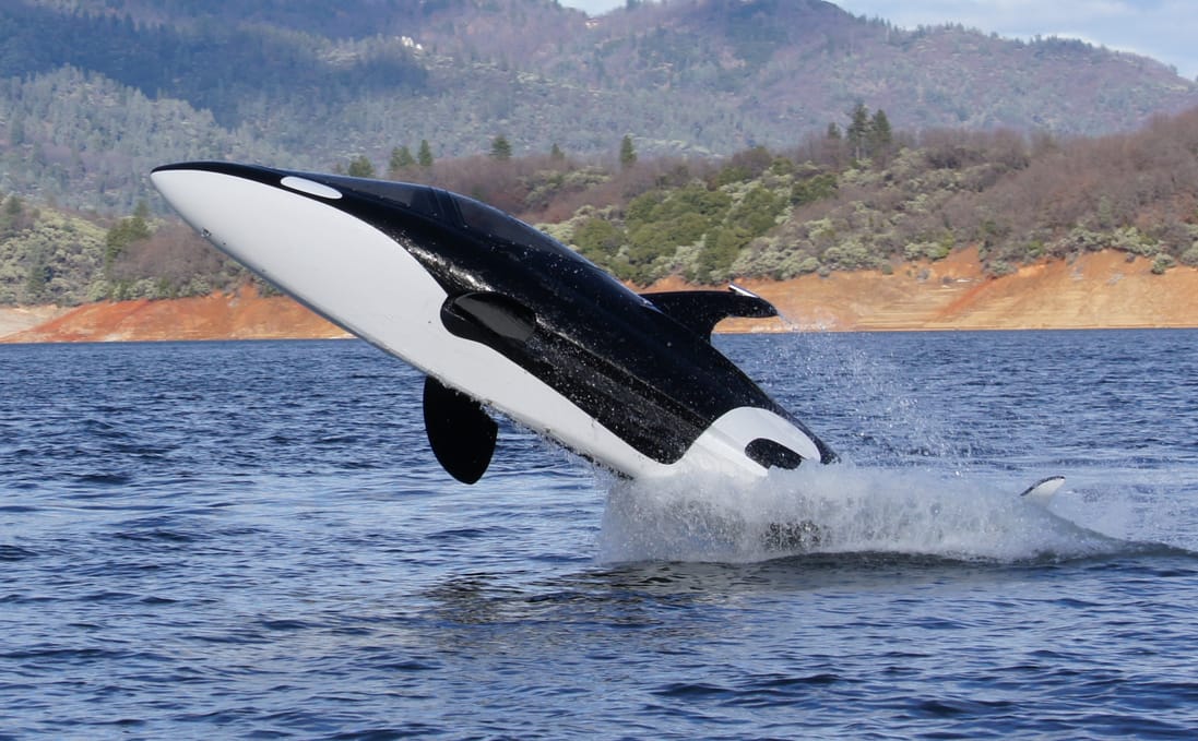 Auction Sale: Killer Whale Submersible That Soars Through the Skies
