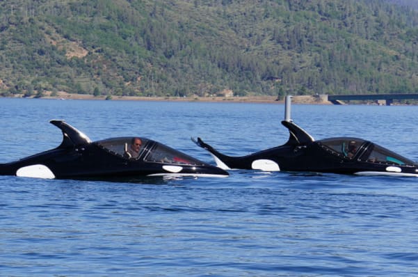 Auction Sale: Killer Whale Submersible That Soars Through the Skies