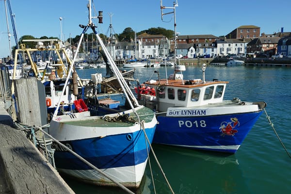 Fishermen Alarmed by Surge of Offshore Wind Projects