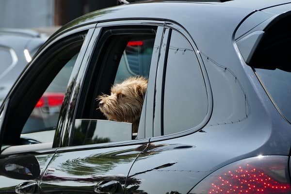 Car insurance costs skyrocket, 90% of young drivers urge government aid