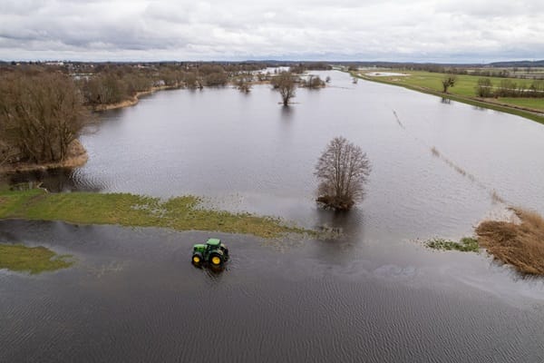 Crop Failures Drive Bread, Beer, and Biscuit Prices Higher
