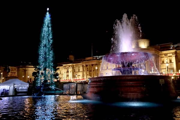 Discover the Real Cost of Running Your Christmas Lights After a 60% Price Surge Over Ten Years