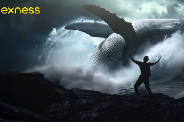 Exness launches bold new global campaign, putting traders at the heart of the story
