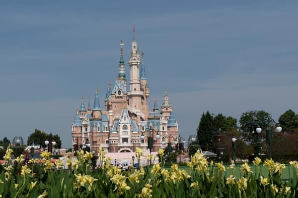 The real deal about Gother Shanghai Disneyland tickets: What nobody tells you - London Business News | Londonlovesbusiness.com