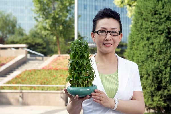 How the ECO4 grant supports net zero goals for your business