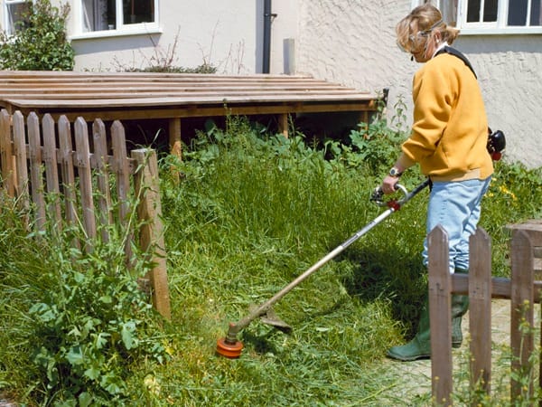 Weekend garden jobs that make a big difference in spring - London Business News | Londonlovesbusiness.com