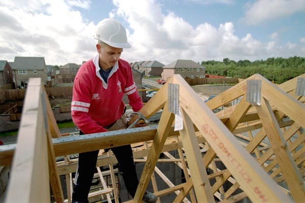 Sourcing sustainable lumber: Building a greener future - London Business News | Londonlovesbusiness.com