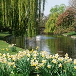 Mayor invests further £3.8 million to plant an additional 100,000 new trees and expand woodland in the capital