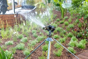 Watering can in a garden, spring, Pas de Calais, France