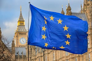 Brexit protest in Westminster on day of EU-UK Northern Ireland Brexit deal, London, UK