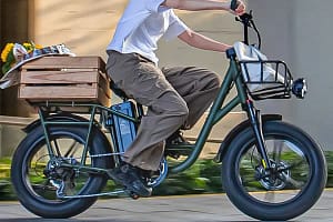 FIIDO Cargo Bike.png