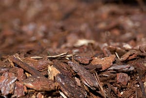 Wood chips