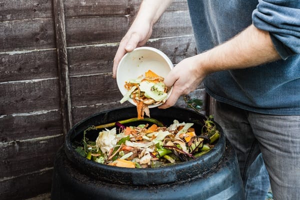 Creating a zero waste garden – London Business News | Londonlovesbusiness.com