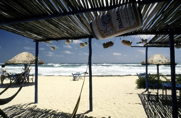 Planning your dream wedding in Cozumel – London Business News | Londonlovesbusiness.com
