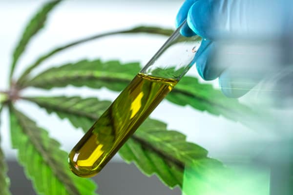 CBD and smoking cessation: How cannabinoids may support a nicotine-free future - London Business News | Londonlovesbusiness.com