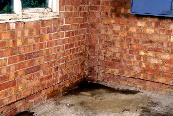 Damp! What to look out for when buying a home in London – London Business News | London Wallet Damp! What to look out for when buying a home in London – London Business News | London Wallet