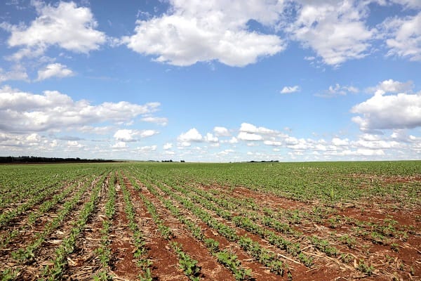 What is meant by commodity market?